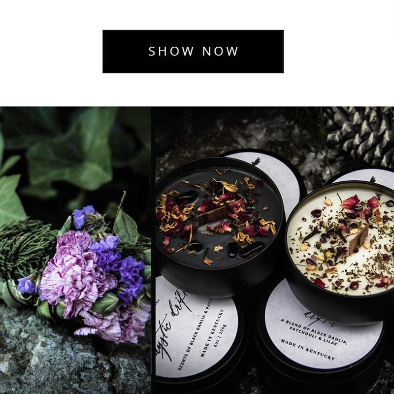 Email Design At Mind Junk Creative